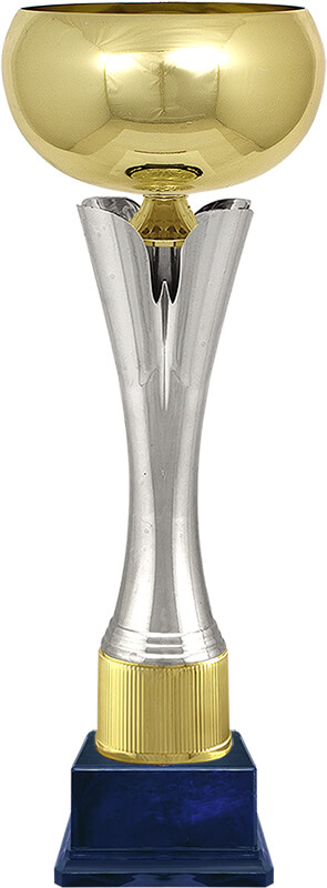 Кубок Айнур Кубок Айнур