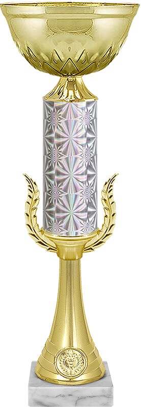 Кубок Дастер