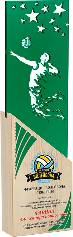 Акриловая награда с УФ печатью волейбол