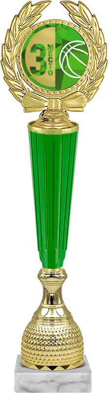 Награда баскетбол 3 место