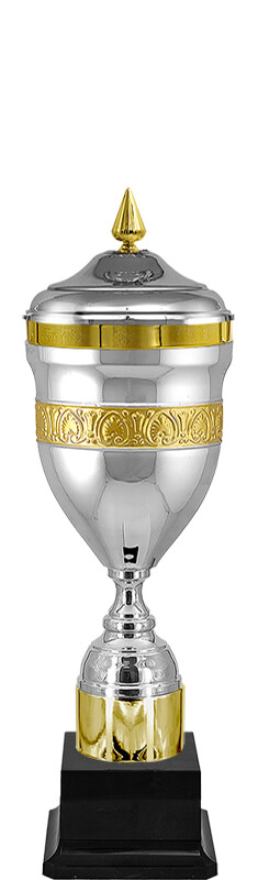 Кубок Кэлвин