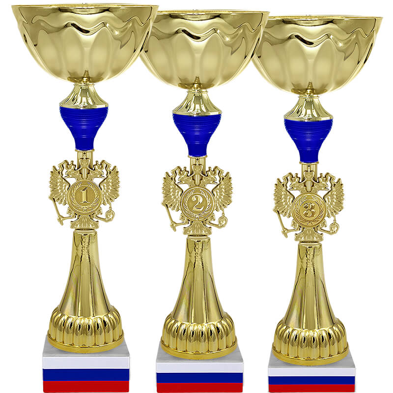Кубок Бригадир 3 (3 место, синий)