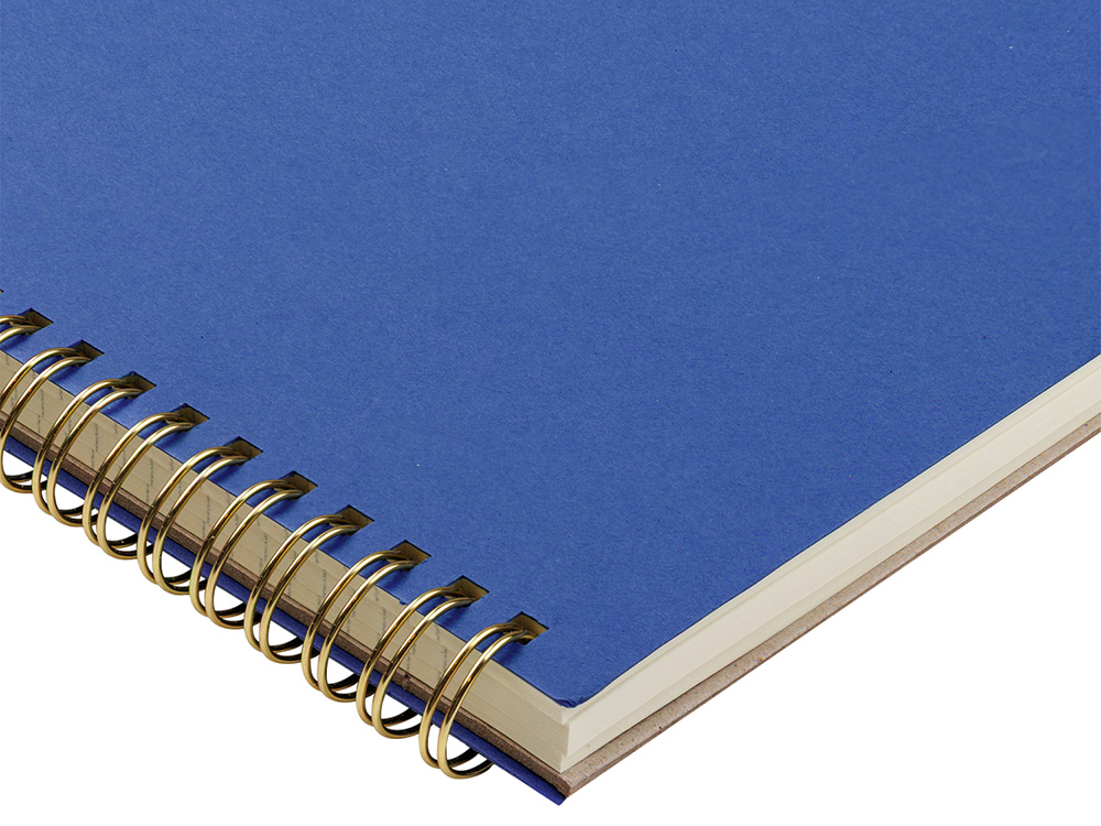 Бизнес тетрадь на гребне А4 Pragmatic, 100 листов в клетку, синий