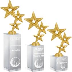 Награда из стекла с лазерной гравировкой