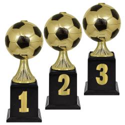 Кубок Мерхер 2 место