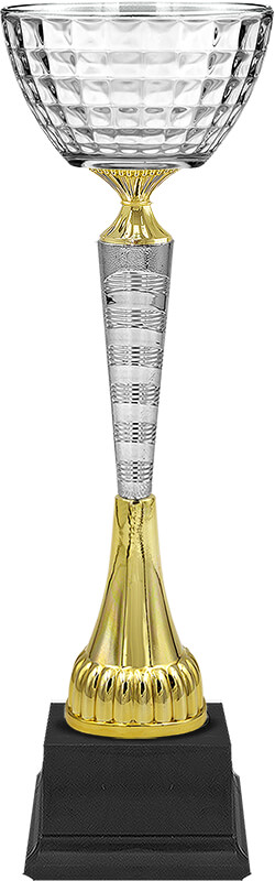 Кубок Мануэла (под серебро)