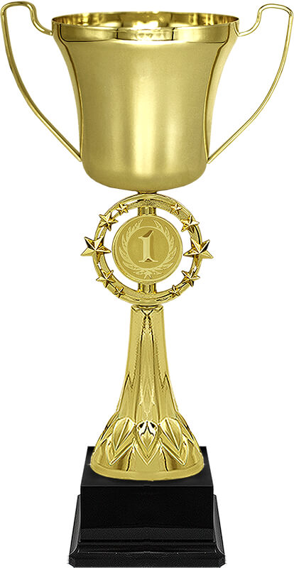 Кубок Паскаль 1 место