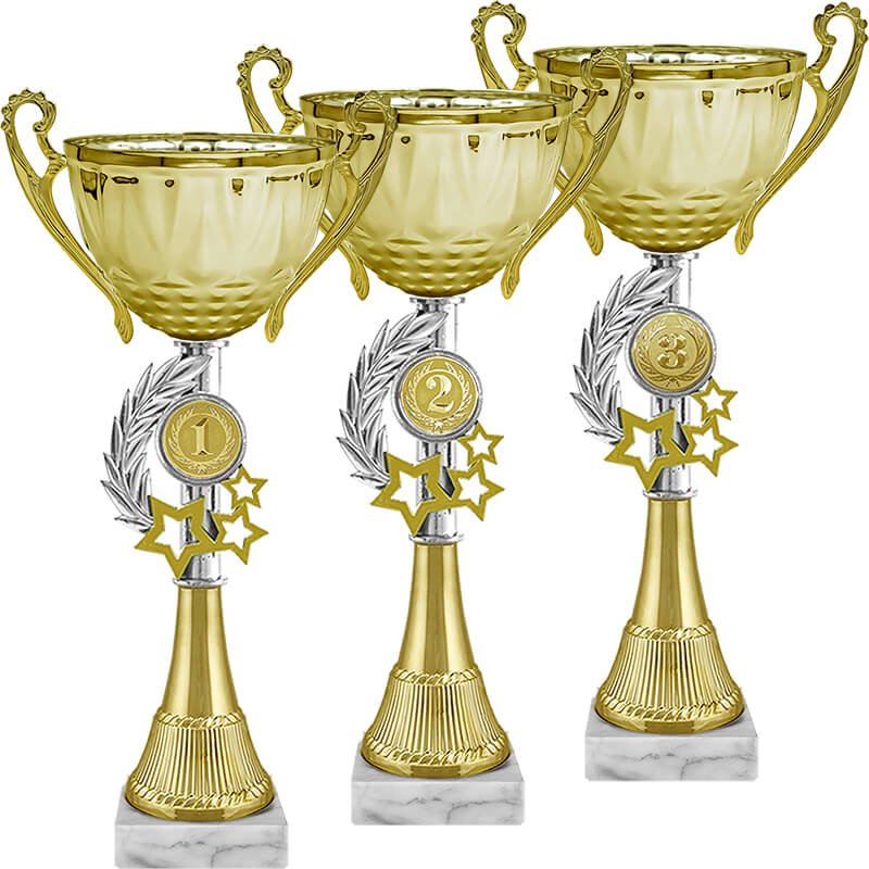 Кубок Ричик 3 место