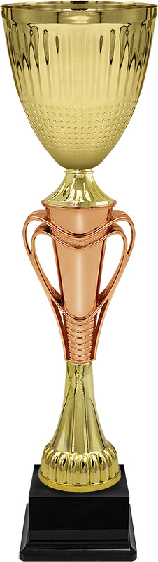 Кубок Тотти