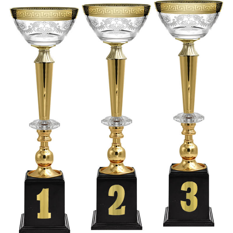 Кубок Эллея 1 место