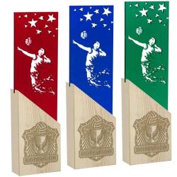 Награда волейбол