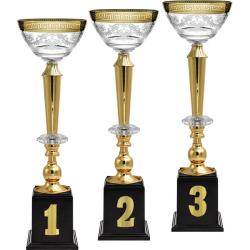 Кубок Эллея 3 место