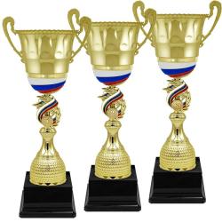 Кубок Сенат 3 место