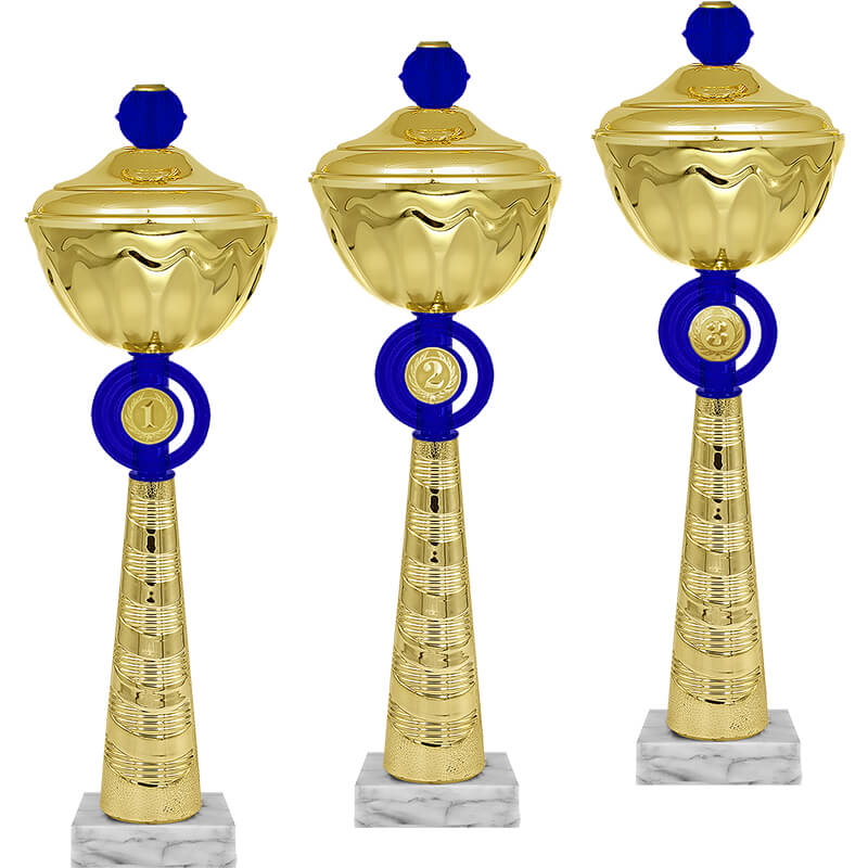 Кубок Василь 2 место