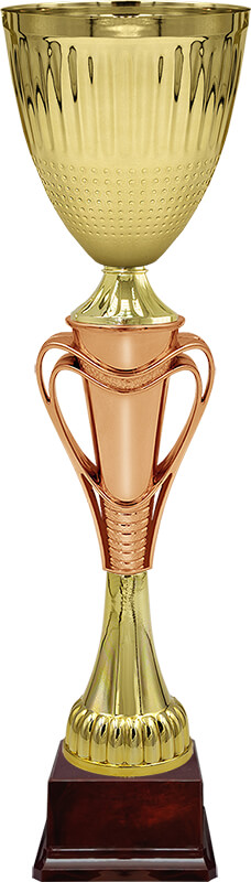 Кубок Тотти Кубок Тотти