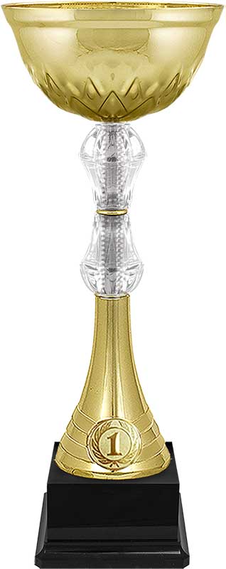 Кубок Нэш 1 место