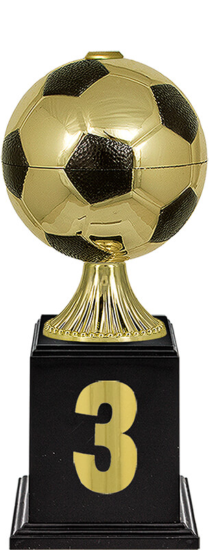 Кубок Мерхер 3 место Кубок Мерхер 3 место