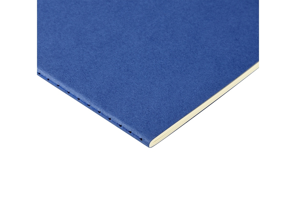 Бизнес-тетрадь А4 Pragmatic, 40л., клетка, синий Бизнес-тетрадь А4 Pragmatic, 40л., клетка, синий