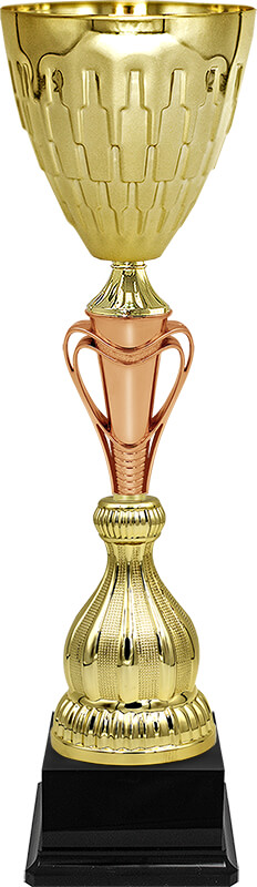 Кубок Барон