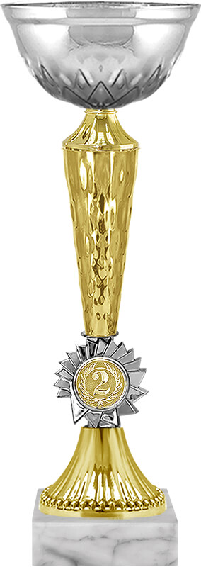 Кубок Гриф 2 место Кубок Гриф 2 место