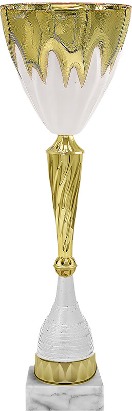 Кубок Аэлита