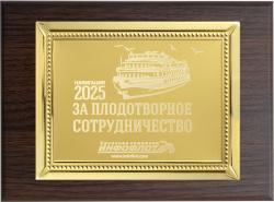 Вариант комплектации плакеток №971