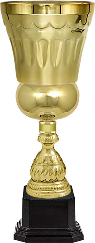 Кубок Штольц  зол