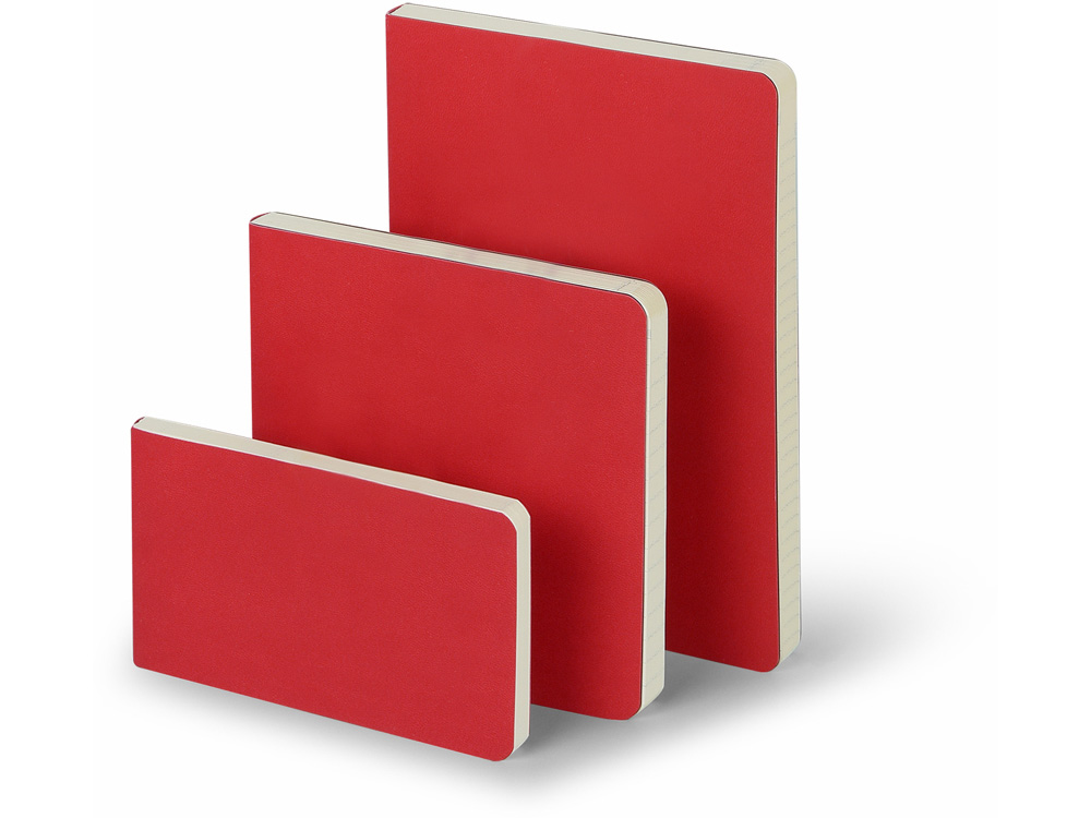 Ежедневник недатированный B5 Megapolis Flex (красный)