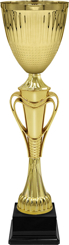 Кубок Тотти