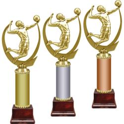 Награда Волейбол