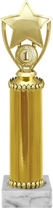 Награда 1 место