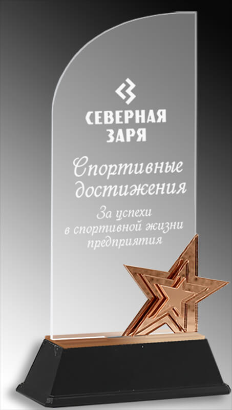 Акриловая награда с гравировкой (под бронзу)