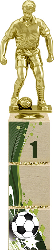 Награда Футбол 1 место Награда Футбол 1 место