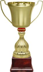 Кубок Миклухо