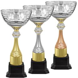 Кубок Ньютон