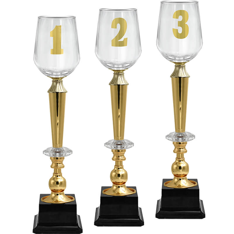 Кубок Агния 1 место