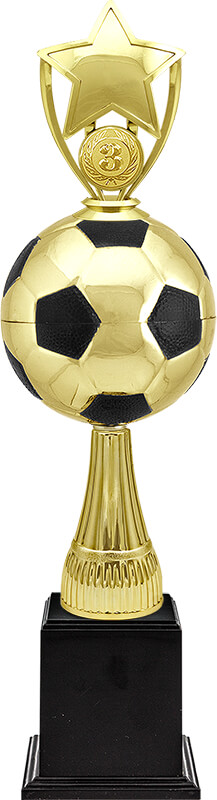 Награда-кубок Рауль 3 место