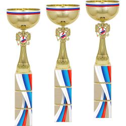 Кубок Премьер 3 место