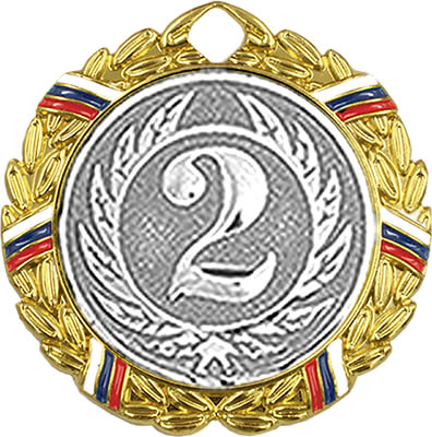 Медаль Варадуна 2 место