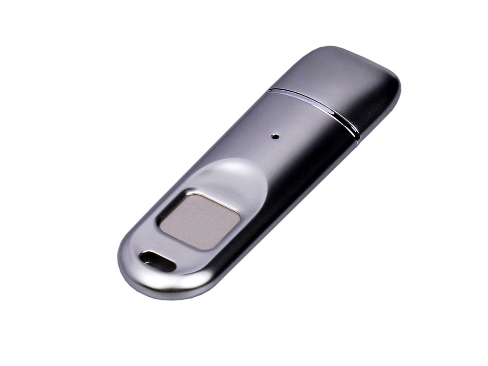 Металлическая флешка со сканером отпечатков пальцев в подарочной упаковке на 256 Гб, серебристый