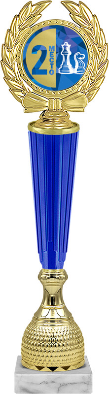 Награда шахматы 2 место