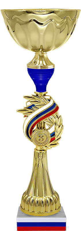 Кубок Бригадир 3