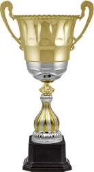 Кубок Гастон