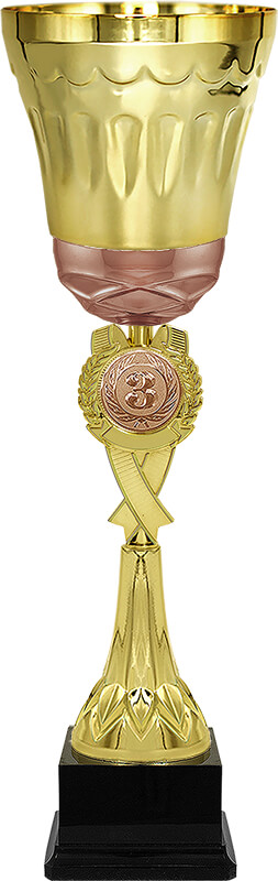 Кубок Эрнест 3 место