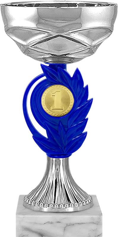 Кубок 1 место