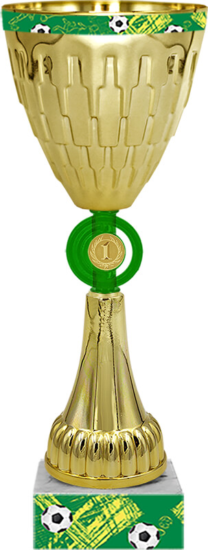 Кубок Ривелино 1 место