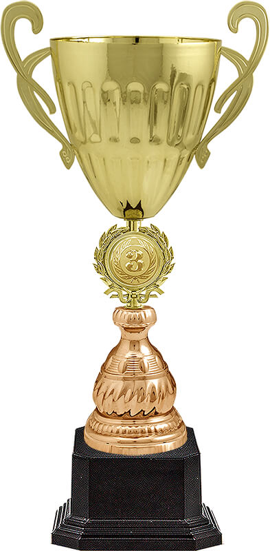 Кубок Дейла 3 место