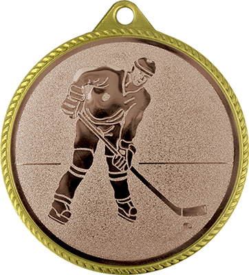 Медаль хокей