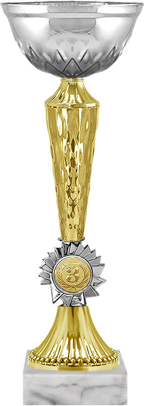 Кубок Гриф 3 место Кубок Гриф 3 место