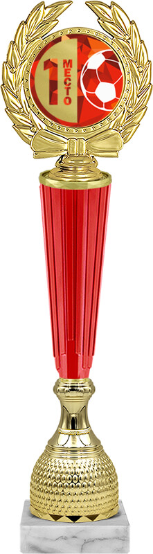 Награда футбол 1 место